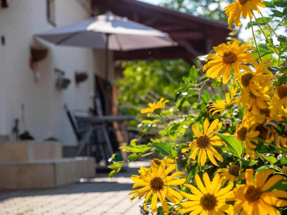 Pipacsos Vendégházak Kiskunmajsa Exterior foto